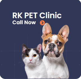 Rk Pet Clinic